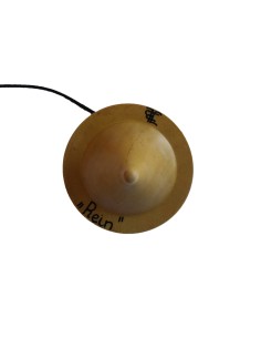 Le pendule "Reins"